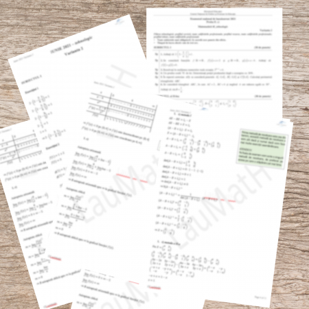 Rezolvare Bac 2021 Tehnologic