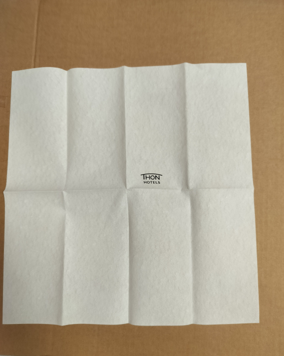 BAX Lavete de uz general material Airlaid Logo divers - min. 300 buc/ min. 40x40 cm [2]