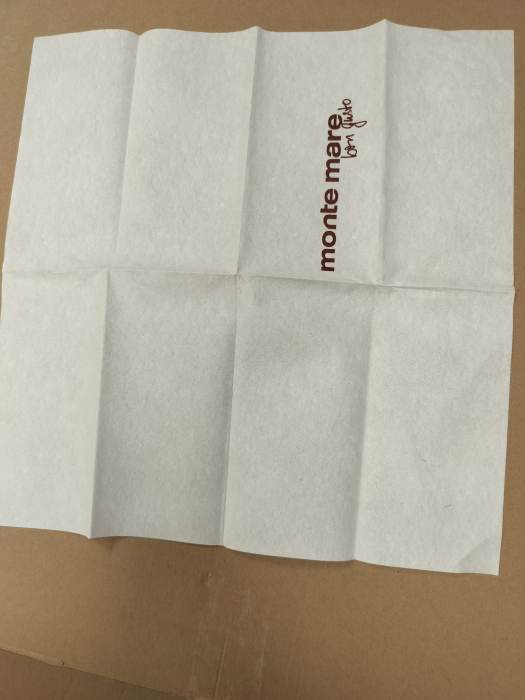 BAX Lavete de uz general material Airlaid Logo divers - min. 300 buc/ min. 40x40 cm [3]