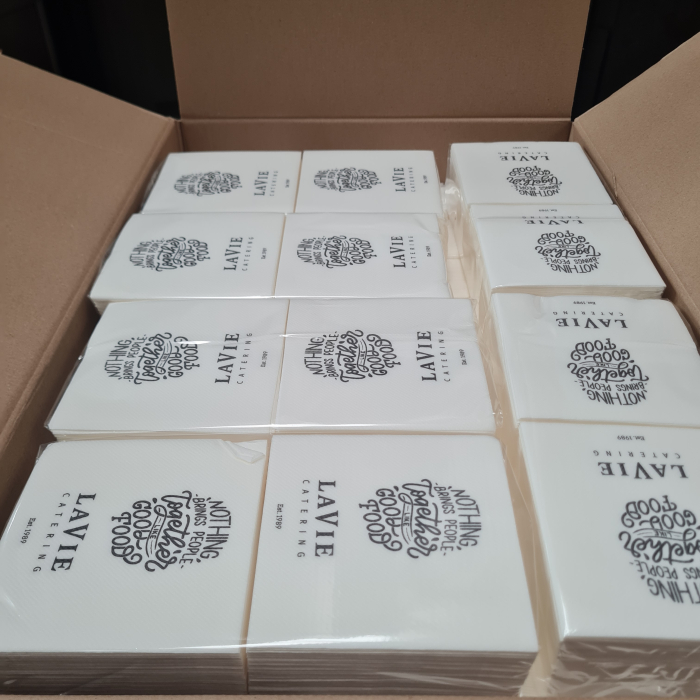 Lavete Profesionale Mici de Unica Folosinta | Bax 2900 buc (+2900 CADOU)  | Airlaid 24x24cm [2]