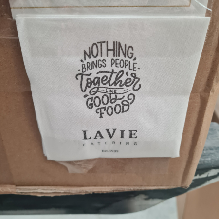 Lavete Profesionale Mici de Unica Folosinta | Bax 2900 buc (+2900 CADOU)  | Airlaid 24x24cm