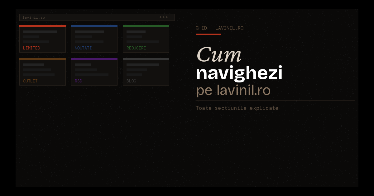 Cum navighez pe LaVinil.ro — ghidul secțiunilor speciale de vinil (vinyl)