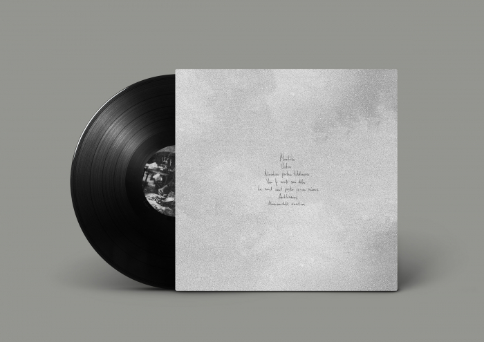 Alternativ Quartet - Deocamdata suntem 2LP [2]