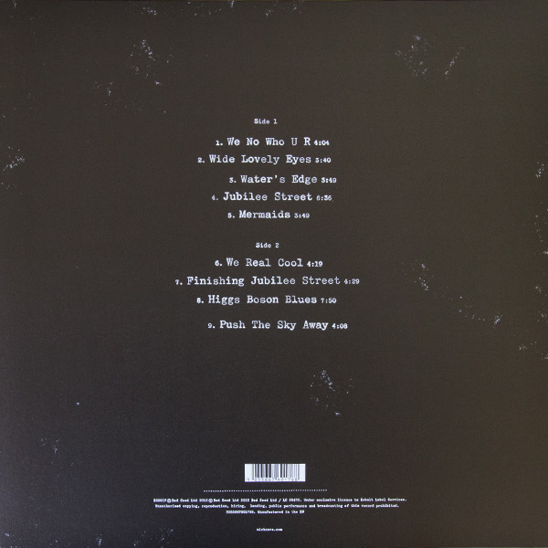 Nick Cave & The Bad Seeds - Push The Sky Away - Vinil [1LP] [2]