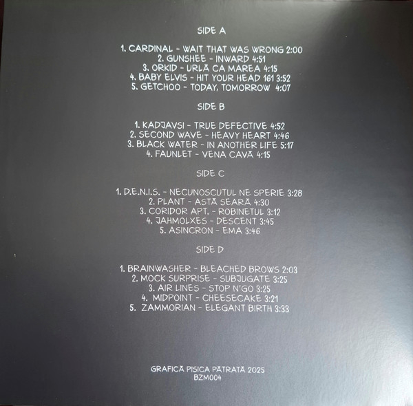 Various – Stray Lights Bazar De Muzică - Vol. 1 Vinil [2LP] [2]