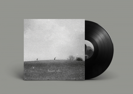 Alternativ Quartet - Deocamdata suntem 2LP [0]