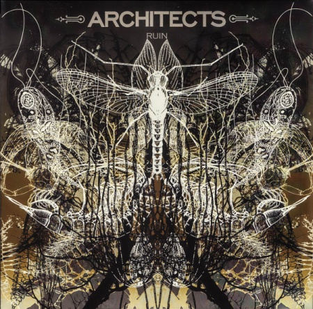 International - Architects - Ruin - Vinil [1LP]