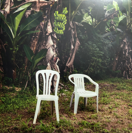 Noutati - Bad Bunny - Debi Tirar Mas Fotos - Vinil [2LP]