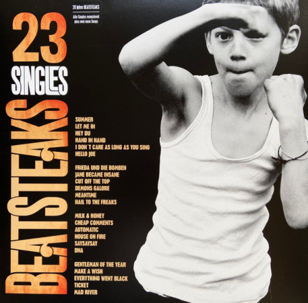 International - Beatsteaks - 23 Singles - Vinil [2LP]