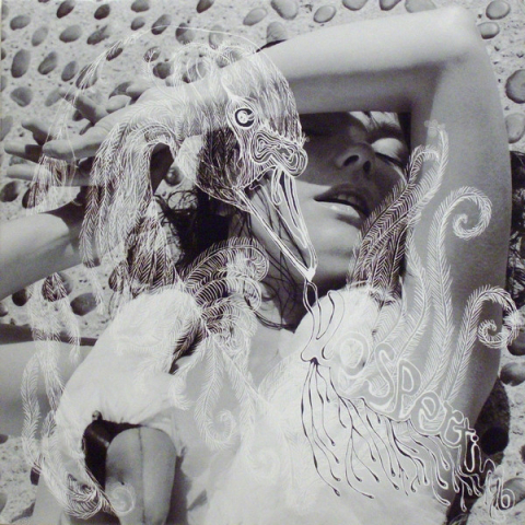 Electronic - Bjork - Vespertine - Vinil [2LP]