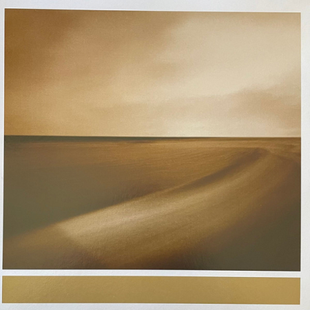 RSD - Brian Eno, Jon Hopkins, Leo Abrahams - Small Craft On A Milk Sea - Vinil [2LP]