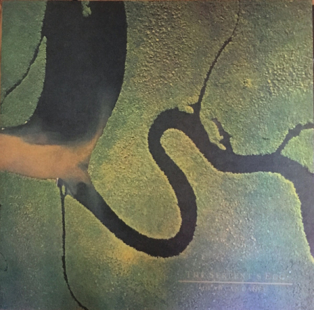 Rock - Dead Can Dance - The Serpent's Egg - Vinil [1LP]