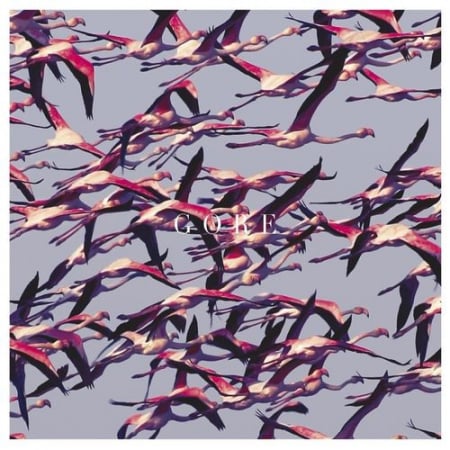 International - Deftones - Gore - Vinil [2LP]