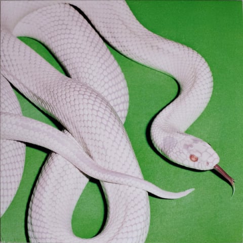 Toate - Deftones - Private Music - Vinil [1LP]