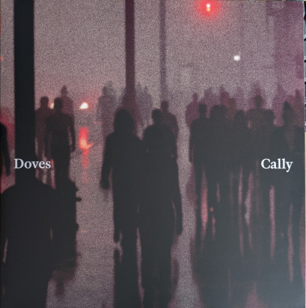 Rock - Doves - Cally / Lean Into The Wind - Vinil [1LP]