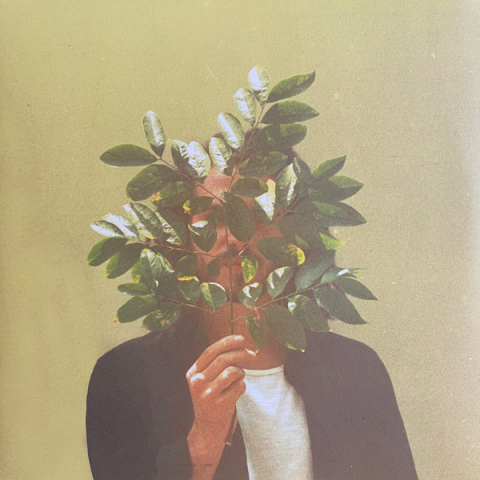 Toate - FKJ (French Kiwi Juice) - French Kiwi Juice - Vinil [2LP]