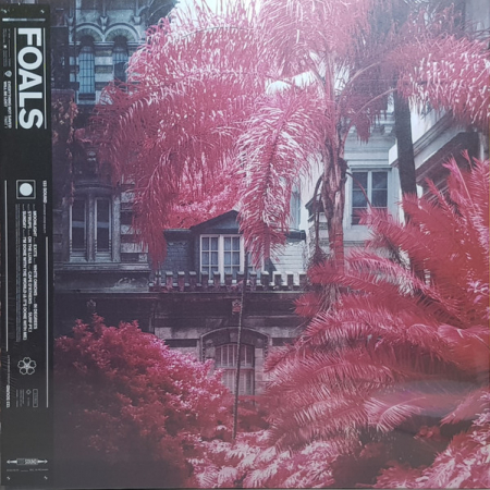 Foals – Everything Not Saved Will Be Lost: Part 1 Vinil LP [0]
