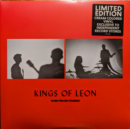 International - Kings Of Leon - When You See Yourself - Vinil [2LP]