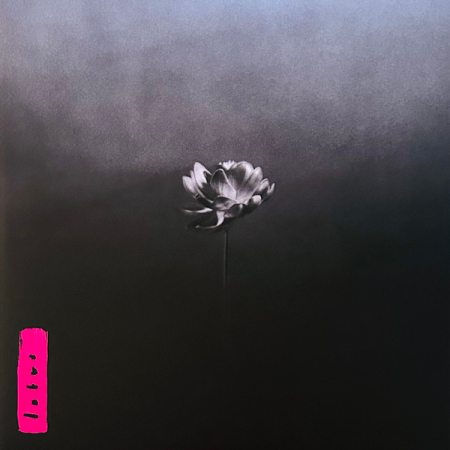 Toate - Little Simz - Lotus - Vinil [2LP]