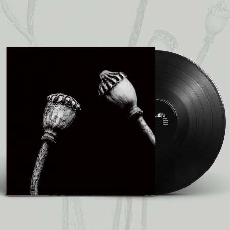 Toate - Luna Amară – Aproape LP