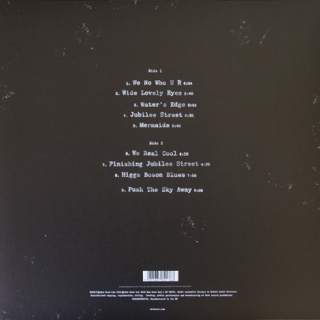 Nick Cave & The Bad Seeds - Push The Sky Away - Vinil [1LP] [1]