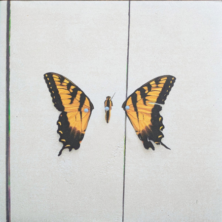 International - Paramore - Brand New Eyes - Vinil [1LP]