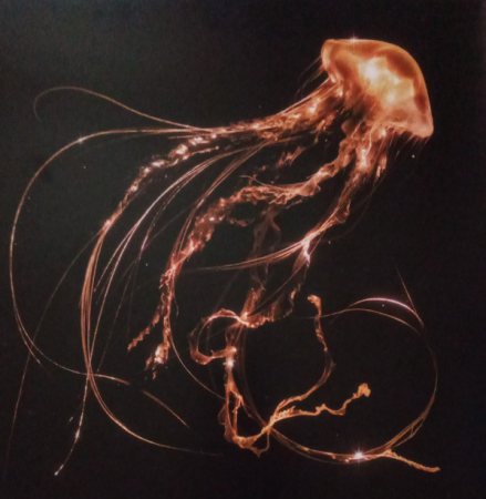 Rock - Royal Blood - Back To The Water Below - Vinil [1LP]