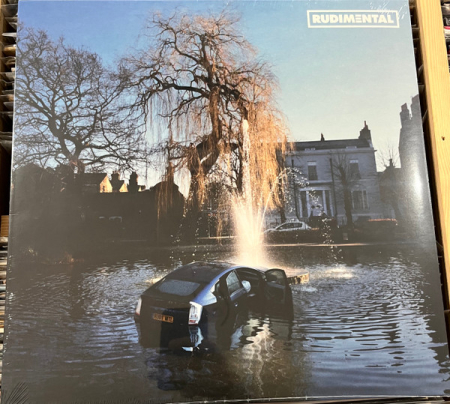 Toate - Rudimental - Rudim3ntal  - Vinil [1LP]