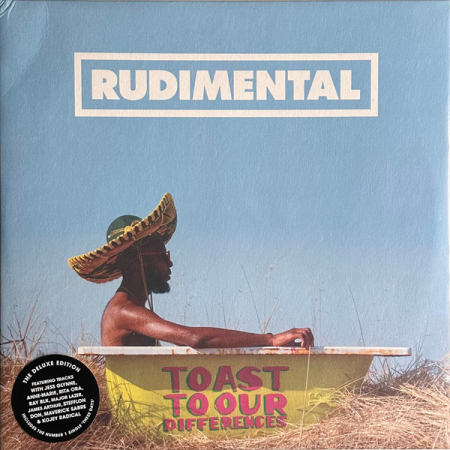 International - Rudimental - Toast To Our Differences - Vinil [2LP]