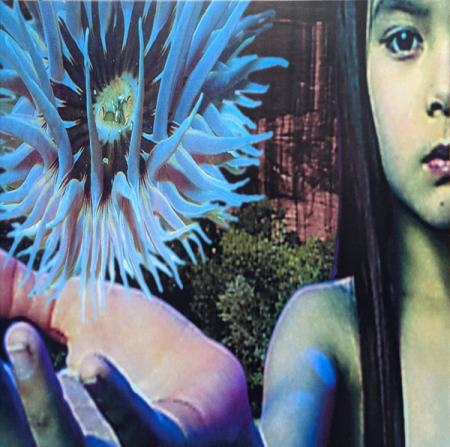 Electronic - The Future Sound Of London - Lifeforms - Vinil [2LP]