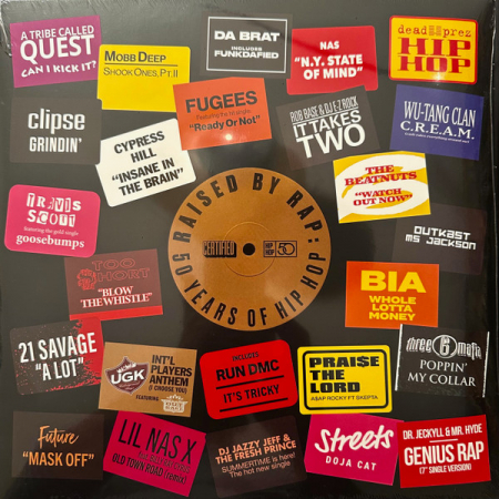 Hip Hop - Various - Raised By Rap: 50 Years Of Hip Hop - Vinil [2LP]