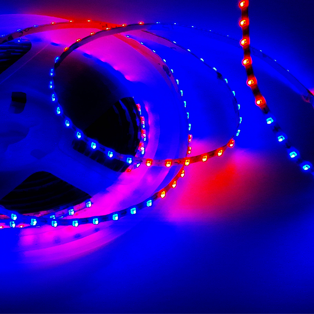 Banda led 2.7mm ws2812 [2]