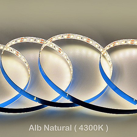 Banda Led SMD - Banda led 120 led/m 12V
