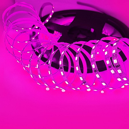 Banda Led SMD - Banda led 2835 120 leduri latime 5mm