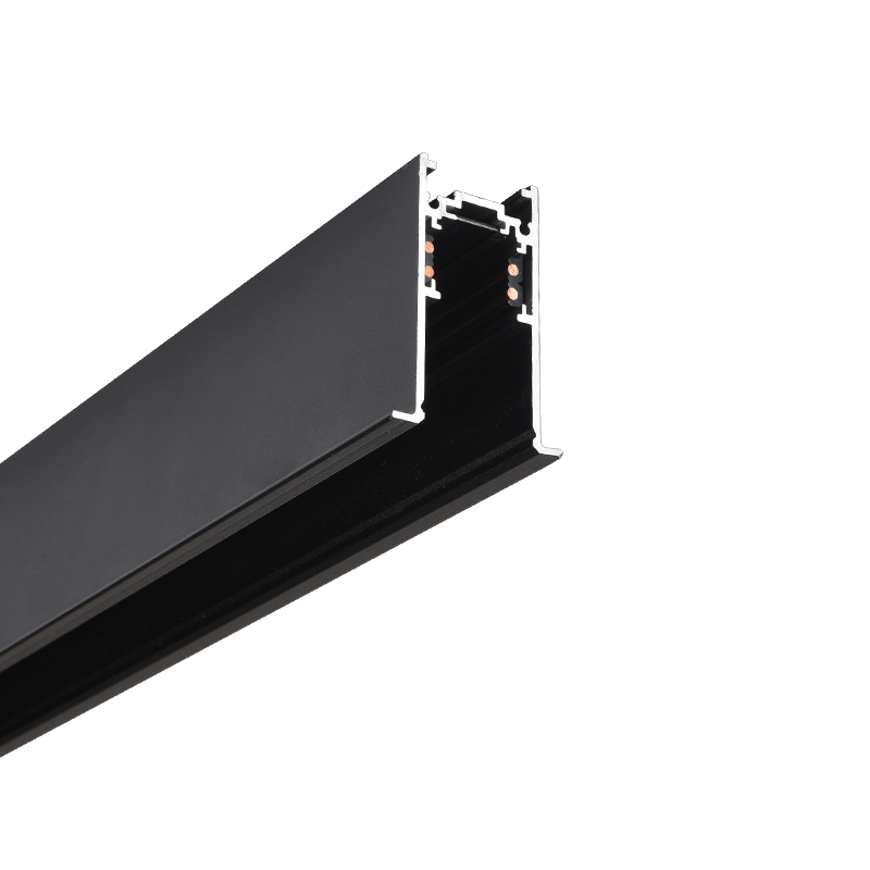Sina magnetica negru mat incastrat 1M [1]
