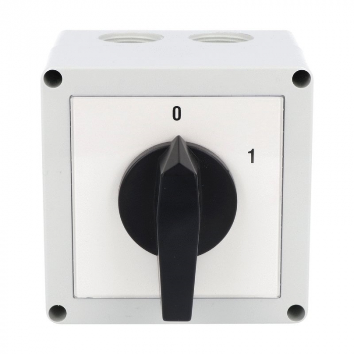 Intrerupator 63A 18.5kw 0-1 ON-OFF 3 poli IP65 cu came industrial aplicat casetat 125x175mm [2]