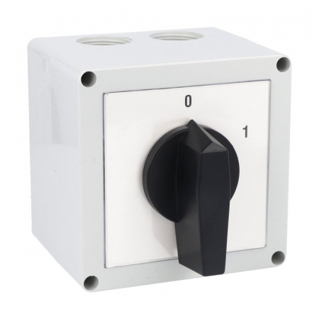 Intrerupatoare pentru tablouri electrice - Intrerupator 40A 15kw 0-1 ON-OFF 3 poli IP65 cu came industrial aplicat casetat 110x110mm