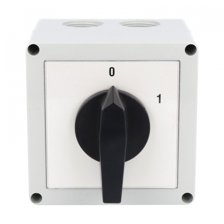 Intrerupator 63A 18.5kw 0-1 ON-OFF 3 poli IP65 cu came industrial aplicat casetat 125x175mm [1]