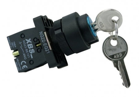 Accesorii tablouri electrice - Intrerupator cu cheie pentru tablouri 6A PORNIT-OPRIT (ON-OFF)