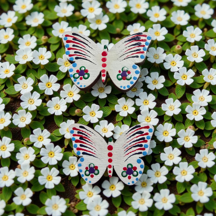 brosa fluture alb [2]