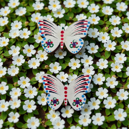 brosa fluture alb [1]