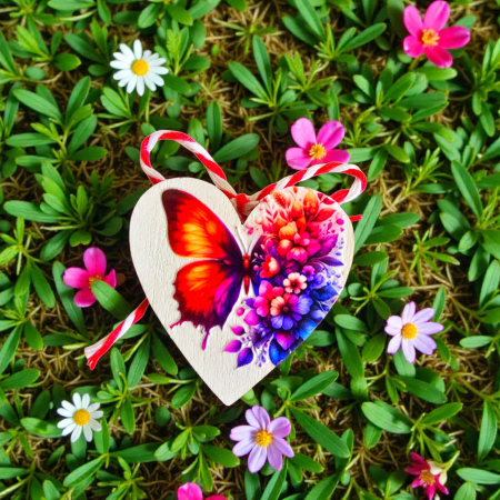 inima cu fluturi [6]