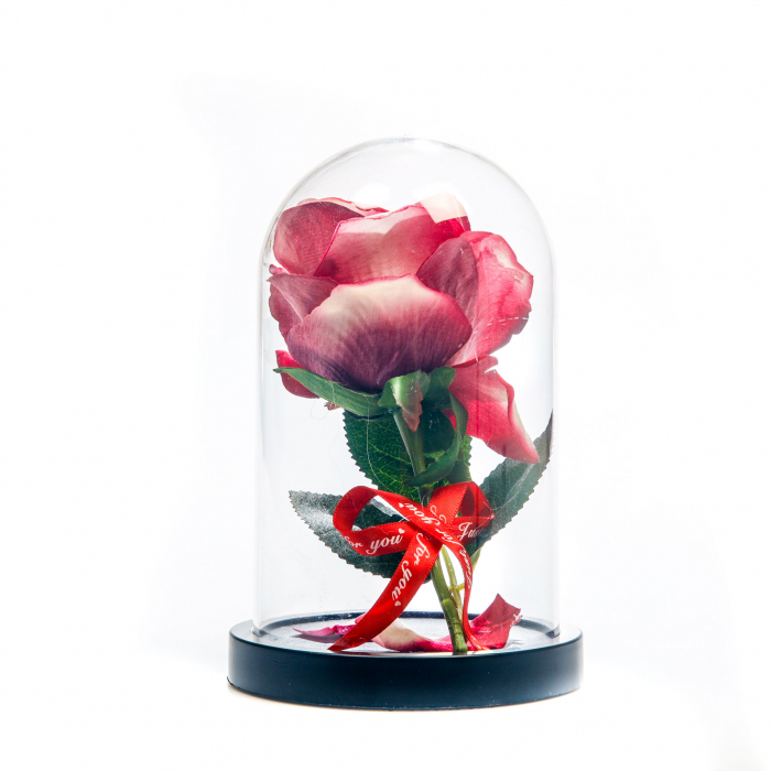 Aranjament floral rosu si alb in cupola de plastic [4]