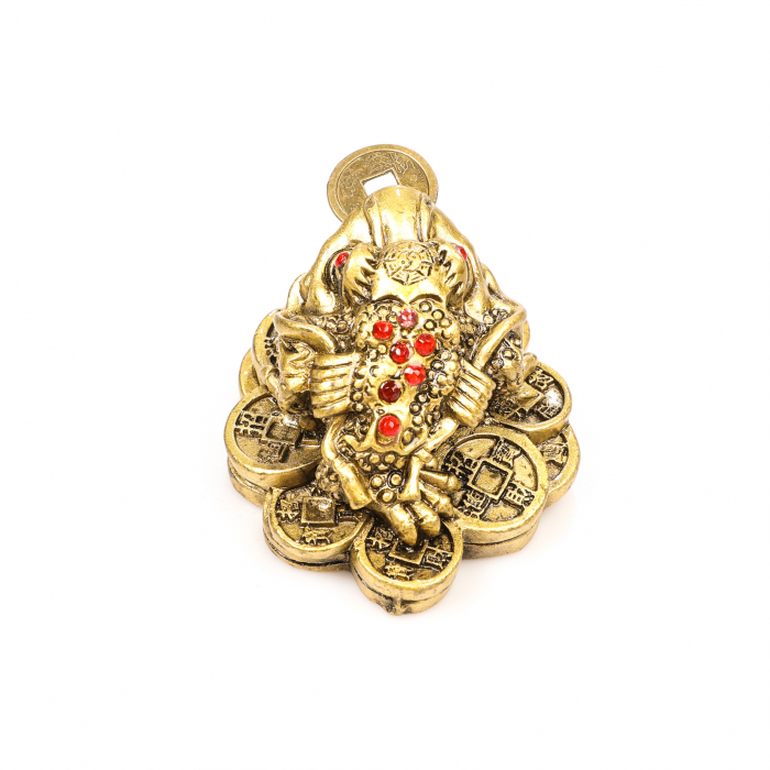 Broasca foarte mica pe bani pentru bunastare generala si noroc in viata profesionala [4]