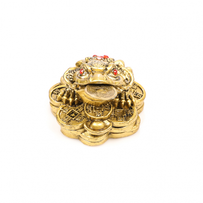 Broasca foarte mica pe bani pentru bunastare generala si noroc in viata profesionala [2]