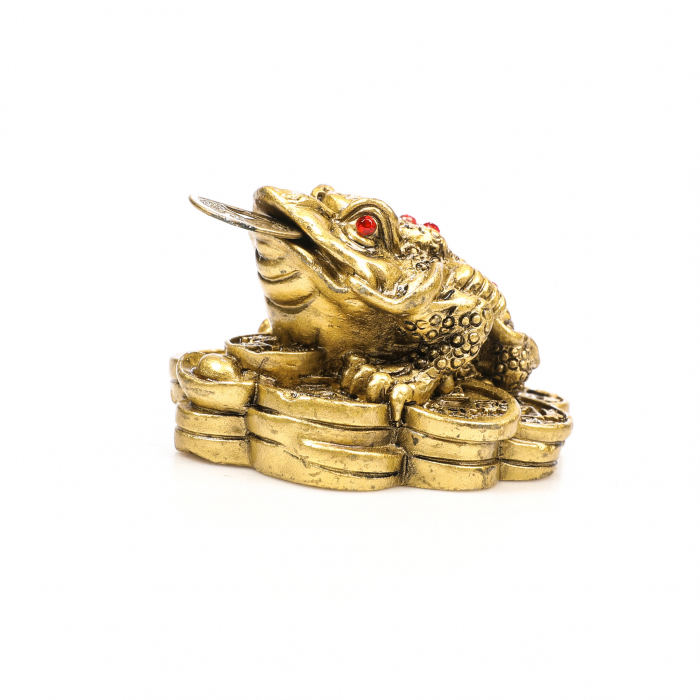 Broasca foarte mica pe bani pentru bunastare generala si noroc in viata profesionala [5]