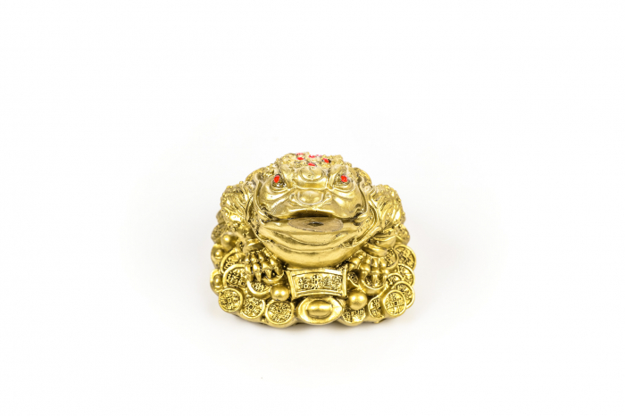 Broasca medie pentru bunastare generala si noroc in viata profesionala [2]