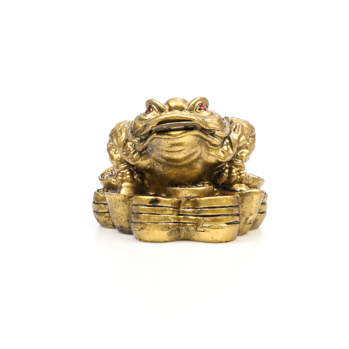 Broasca mica pe bani pentru bunastare generala si noroc in viata profesionala [5]