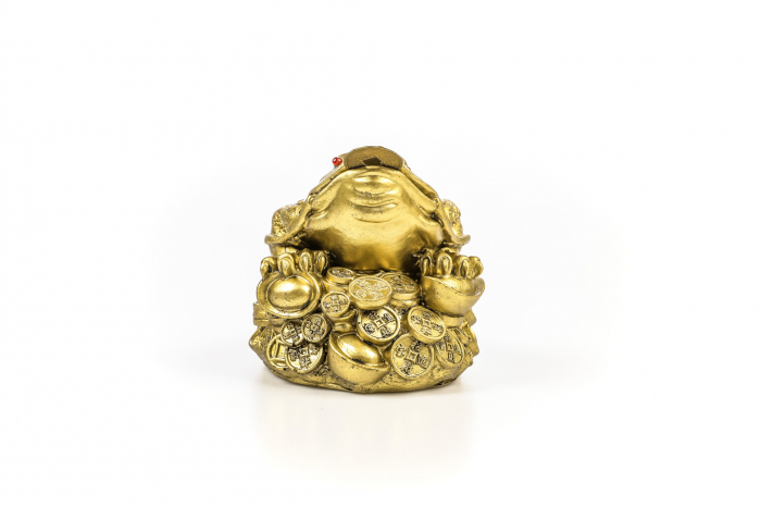 Broasca mare pentru bunastare generala si noroc in viata profesionala [5]