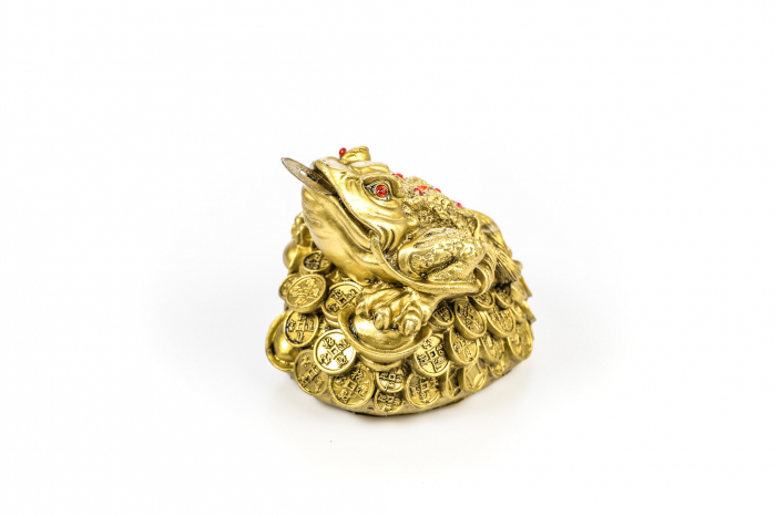 Broasca mare pentru bunastare generala si noroc in viata profesionala [3]